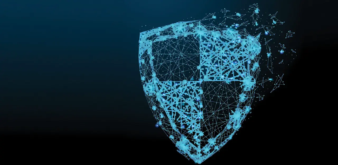 Enterprise Cyber Risk